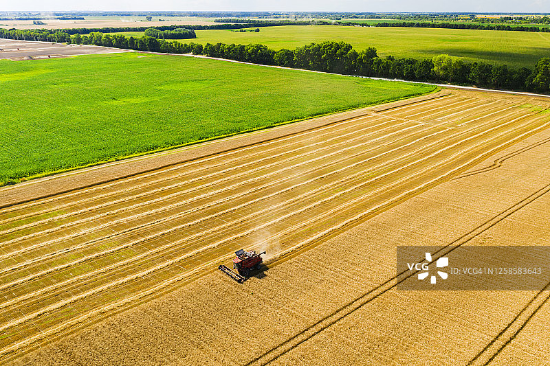 小麦田收割机鸟瞰图图片素材