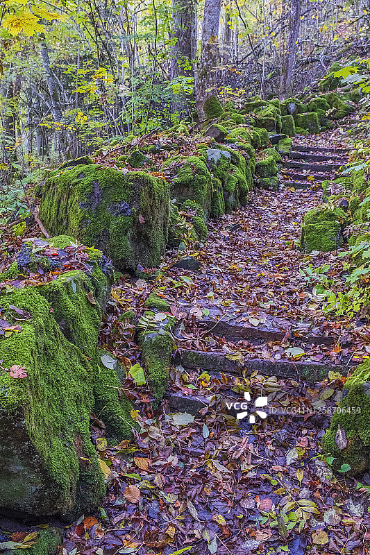 人行道上苔藓覆盖的岩石图片素材