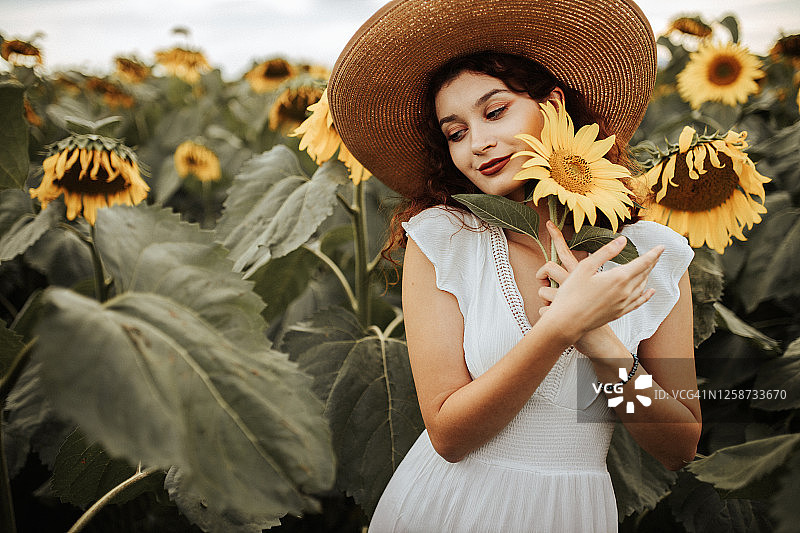 向日葵田里的夏日氛围图片素材