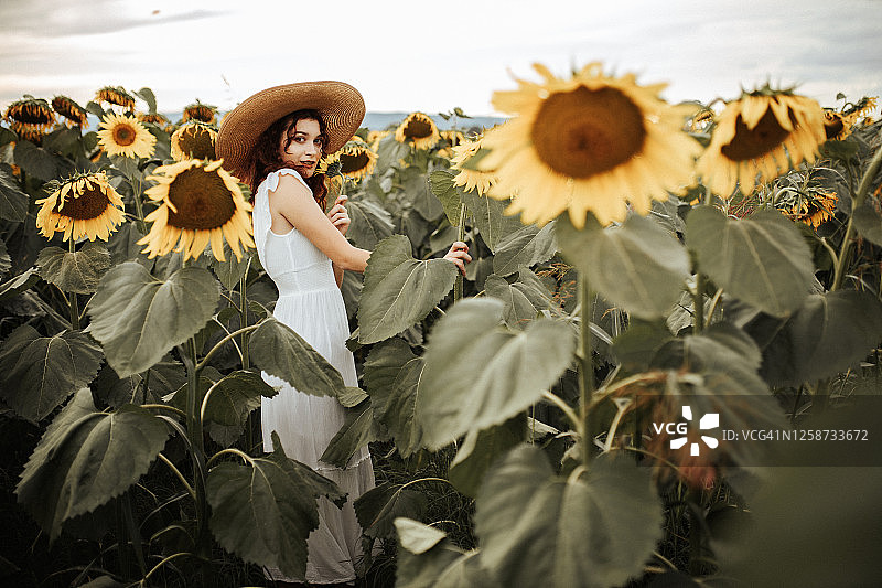 向日葵田里的夏日氛围图片素材
