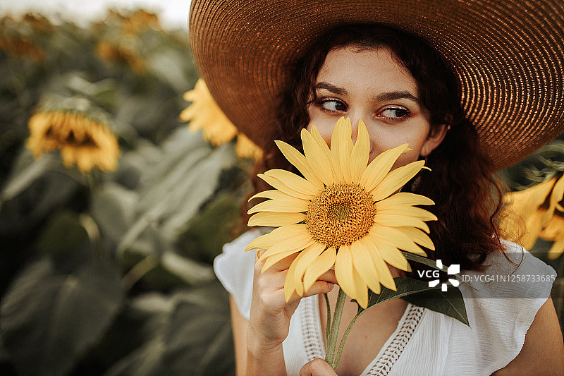 向日葵田里的夏日氛围图片素材
