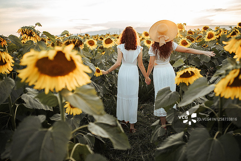 向日葵田里的夏日氛围图片素材