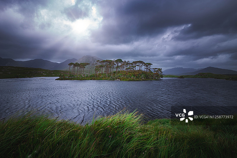 松树岛图片素材