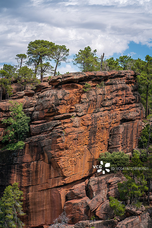 西班牙阿尔瓦拉辛山脉罗德诺松树林保护区图片素材