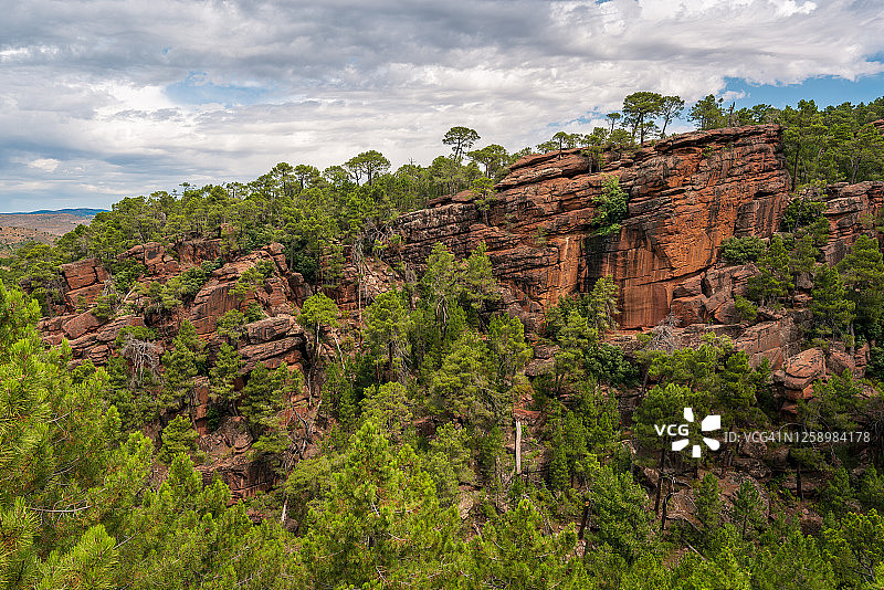 西班牙阿尔瓦拉辛山脉罗德诺松树林保护区图片素材