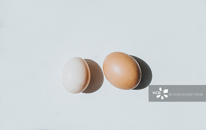 鸭蛋与鸡蛋对比概念图图片素材