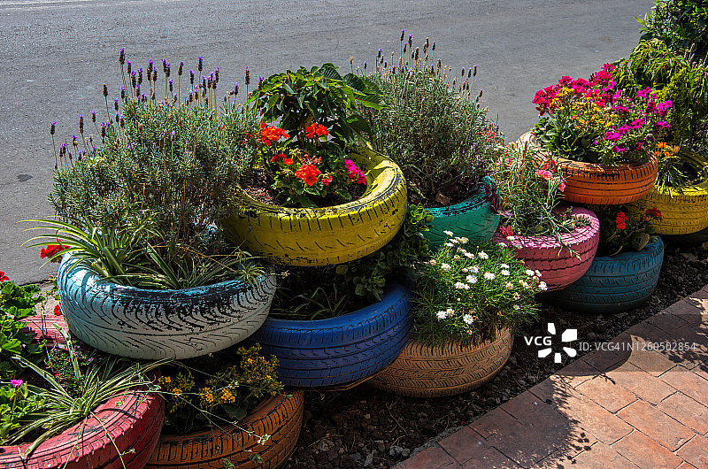 墨西哥城：再生汽车轮胎花盆图片素材