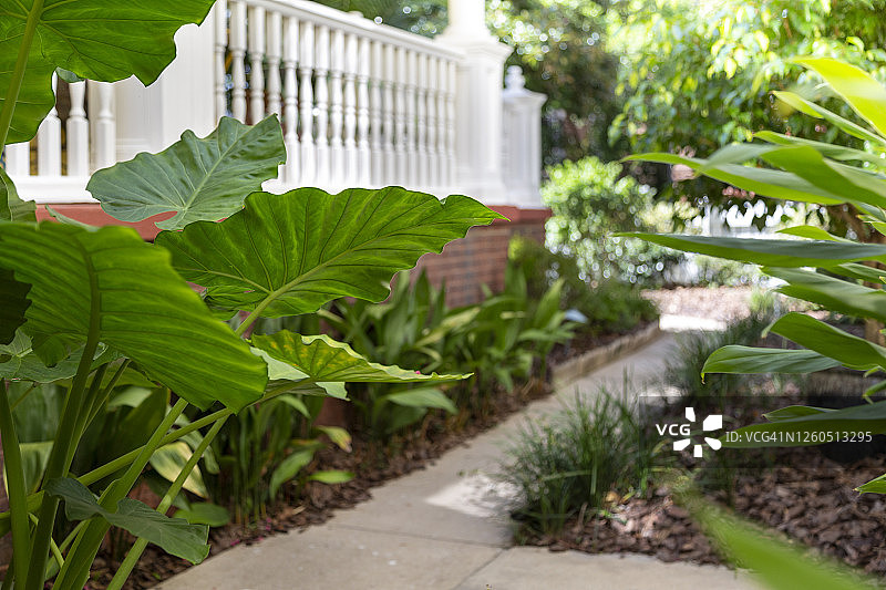 房屋旁带茂盛花园的花园小径图片素材