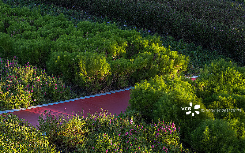 公园步道图片素材