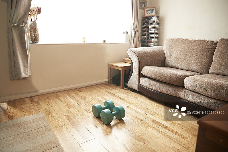 客厅内部：棕色沙发前的木地板上放着绿松石哑铃图片素材