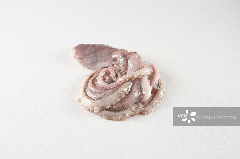 短蛸，食品原料图片素材