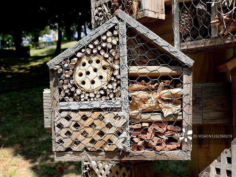 昆虫旅馆图片素材