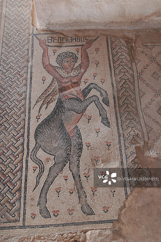 尼罗河之家的马赛克地板，齐波里图片素材