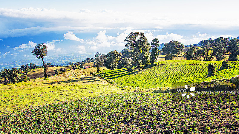 伊拉苏火山的山脉与种植园景观图片素材