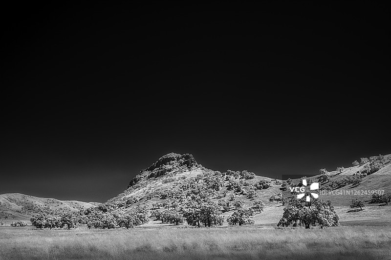 红外镜头下的山谷橡树与草地图片素材