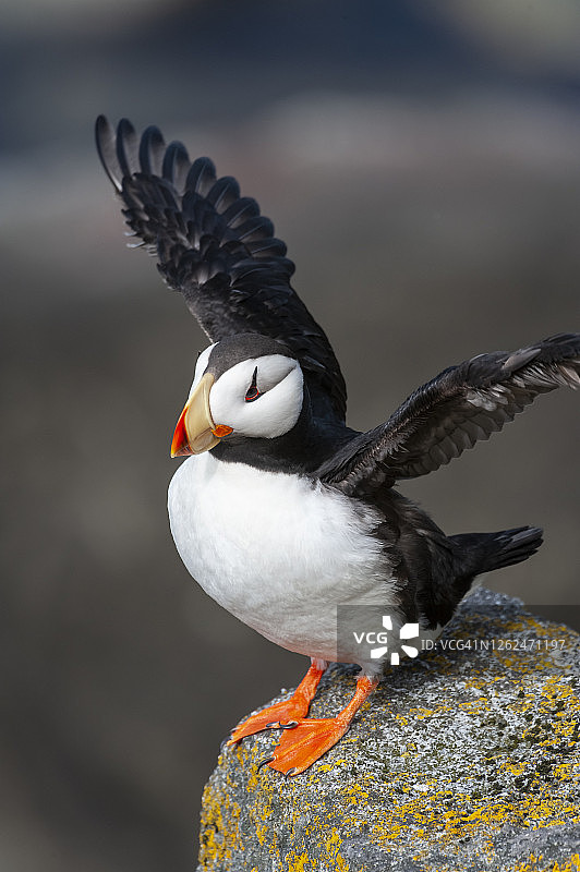 美国阿拉斯加州图片素材