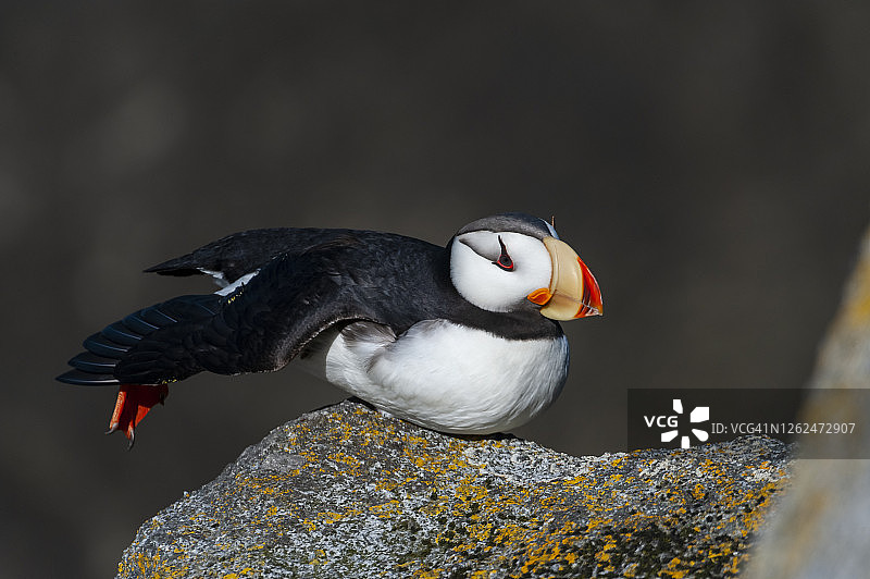 美国阿拉斯加州图片素材