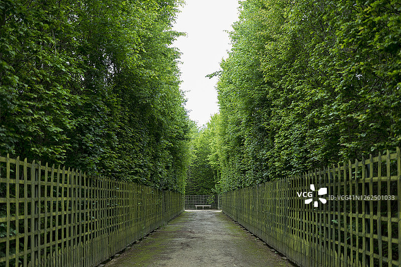 绿色通道图片素材