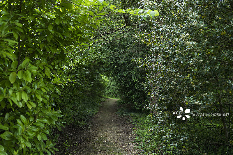 环绕的道路图片素材