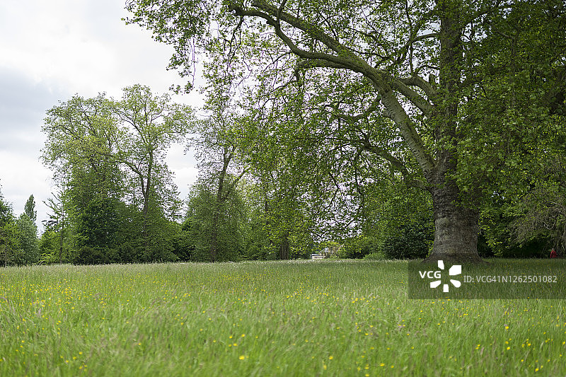 玛丽·安托瓦内特的花园图片素材