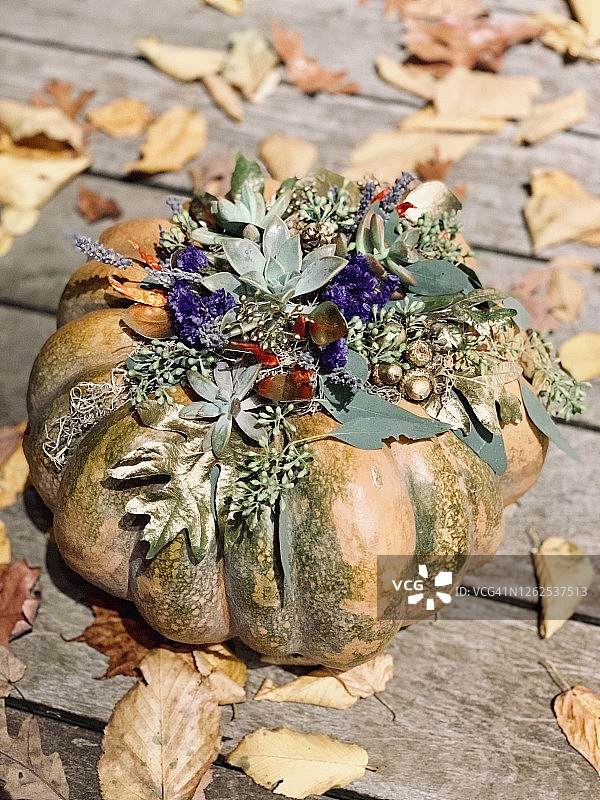 南瓜秋季装饰图片素材