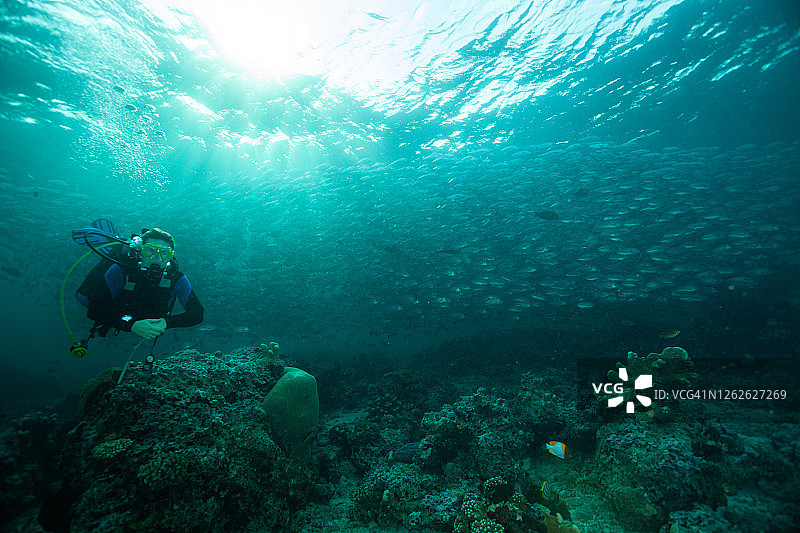 水下水肺潜水员探索和欣赏珊瑚礁海洋生物图片素材