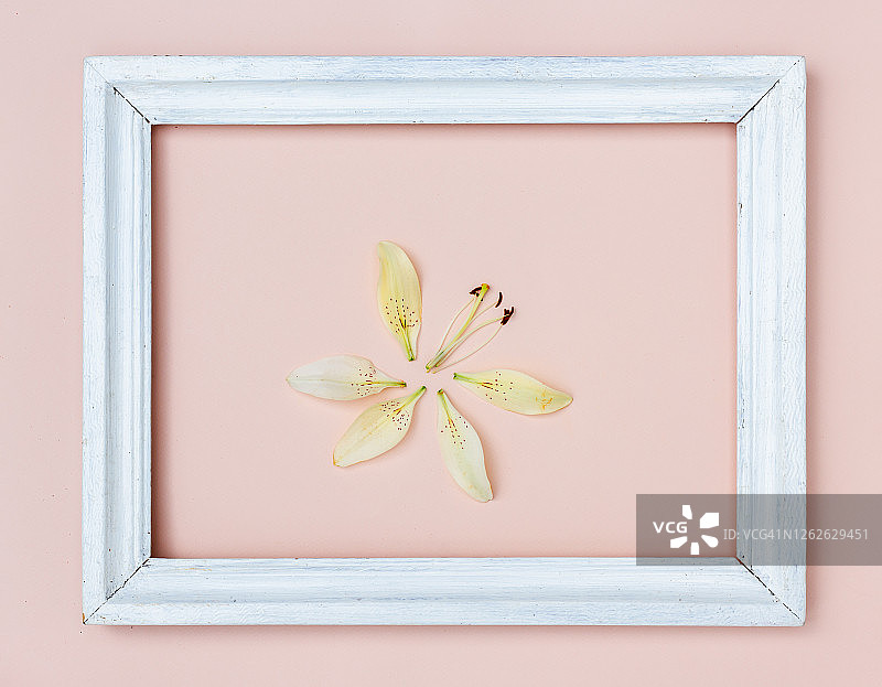 粉色背景上的百合花创意卡片和相框图片素材