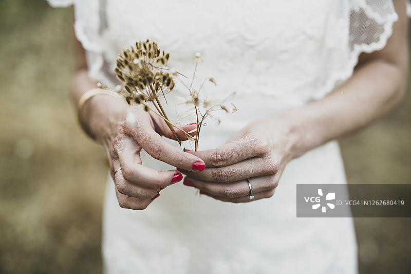 新娘的手部细节图片素材