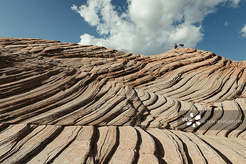 徒步者与狗坐在犹他州沙漠石化沙丘的山脊上图片素材