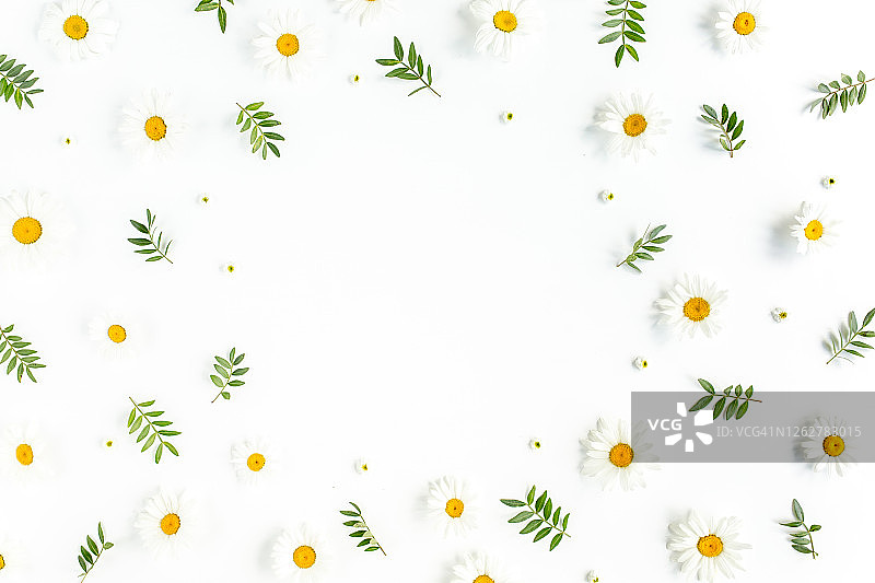 洋甘菊、树叶和花瓣白色背景相框，扁平俯视花卉背景图片素材