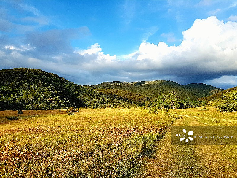 马其顿拉佐罗波莱下午国家公园景观图片素材