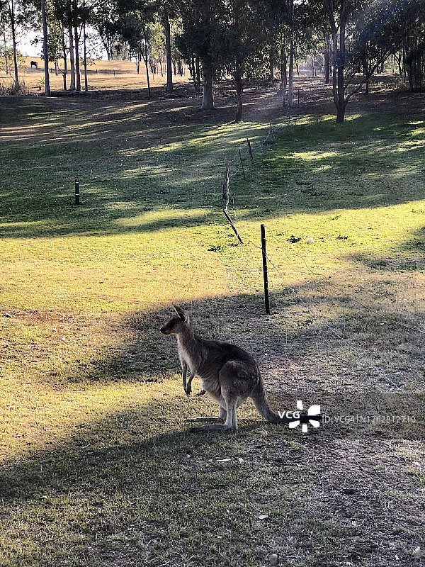新南威尔士州猎人谷的公路旅行图片素材