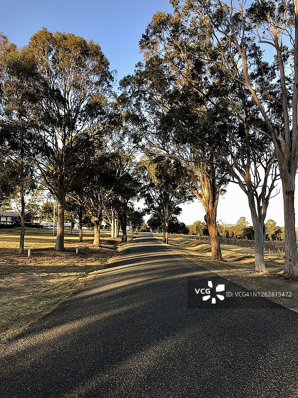 新南威尔士州猎人谷的公路旅行图片素材