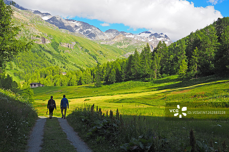 菲克斯山谷中浪漫山间小路上的年轻夫妇图片素材