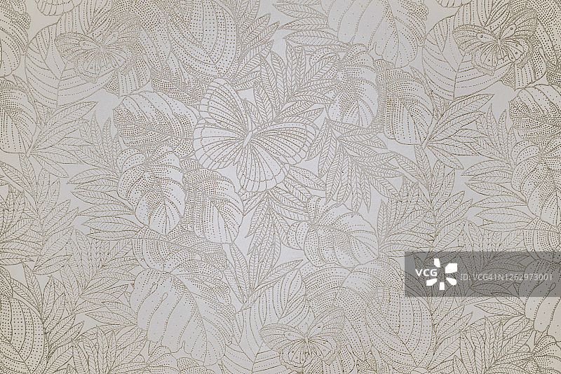 花朵蝴蝶墙纸图片素材