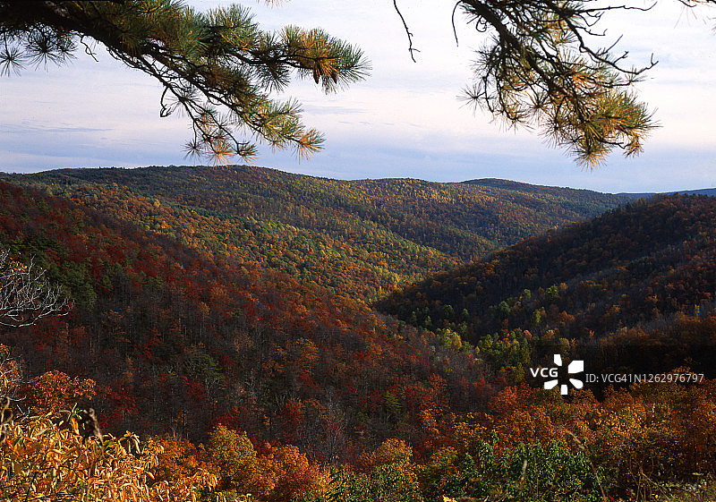 谢南多厄国家公园天际线公路沿线的秋色图片素材