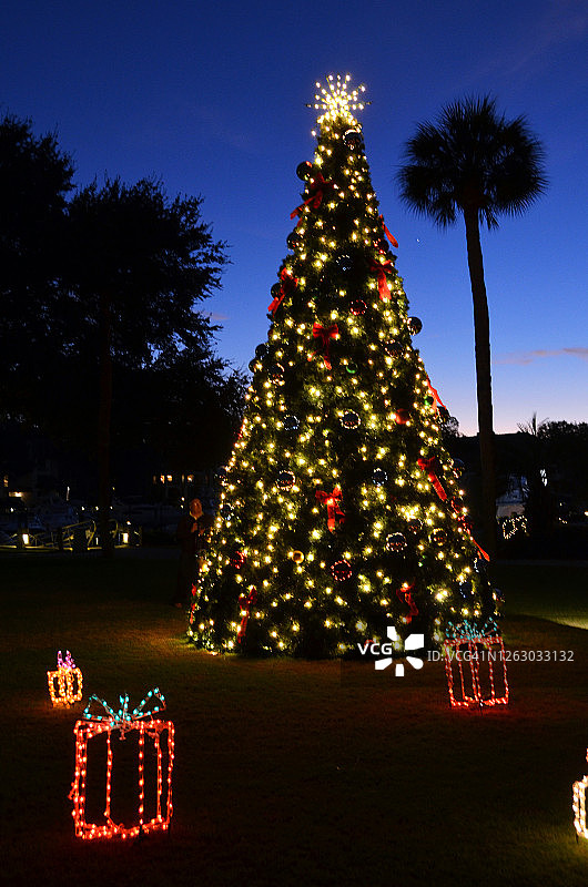 圣诞树下的礼品图片素材
