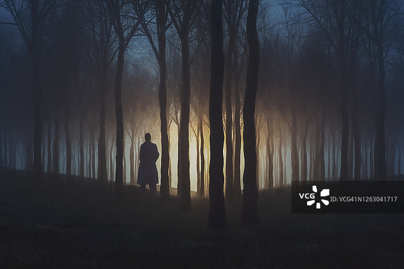 夜晚森林中的神秘光芒图片素材