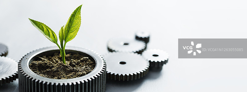 可持续发展图片素材