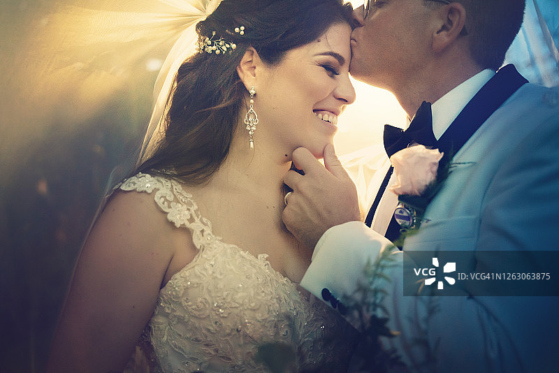 新娘面纱下的新婚夫妇图片素材