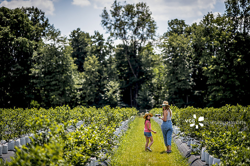 在自然中工作令人放松图片素材