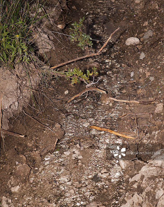 希腊：雨水造成的水土流失图片素材
