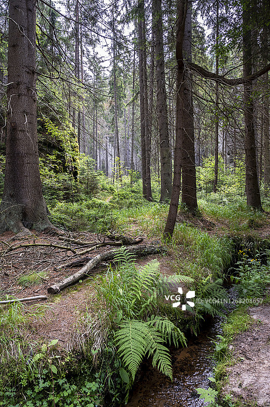 阿德尔斯巴赫和泰普利采岩石图片素材