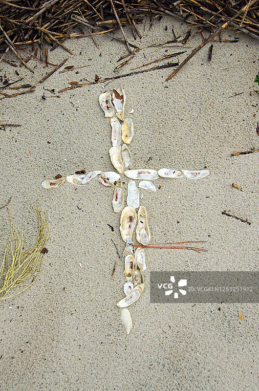 牡蛎壳十字架图片素材