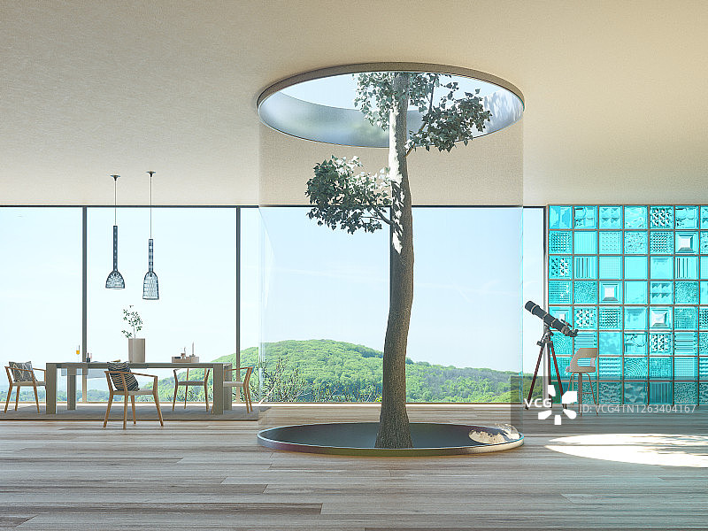 室内生长的树木图片素材