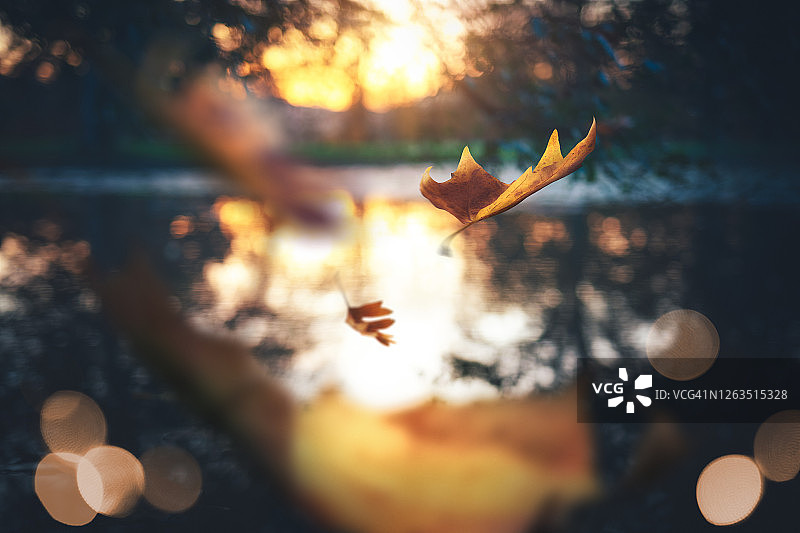 秋天的日落图片素材