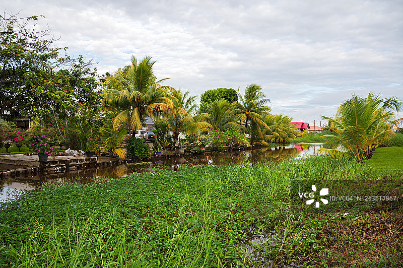 帕拉马里博郊区，苏里南图片素材