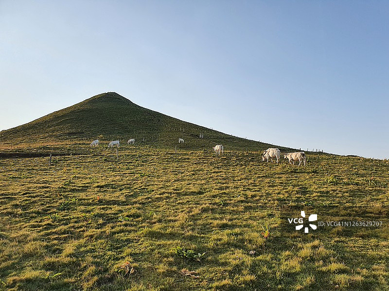 自然- Cantal - Puys链图片素材