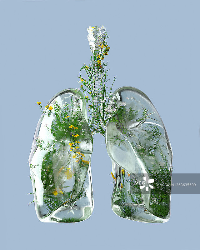 绿色肺图片素材