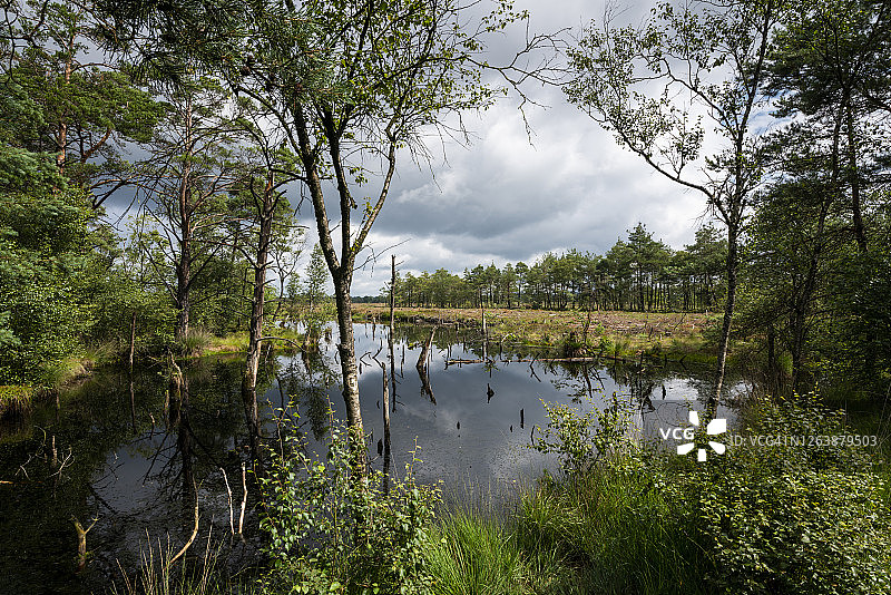 皮茨沼泽图片素材